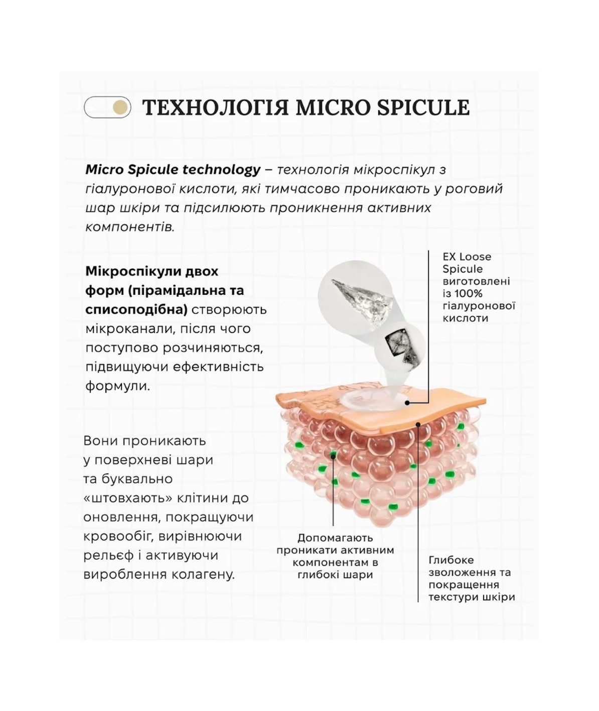 Spa Treatment Insert Lotion – лосьйон-активатор для глибокого зволоження та підвищення ефективності догляду