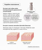 AXXZIA Beauty Eyes Premium Duo
